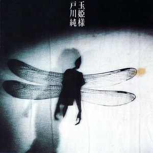 亚洲第一区视频
