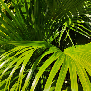 亚洲第一区视频
